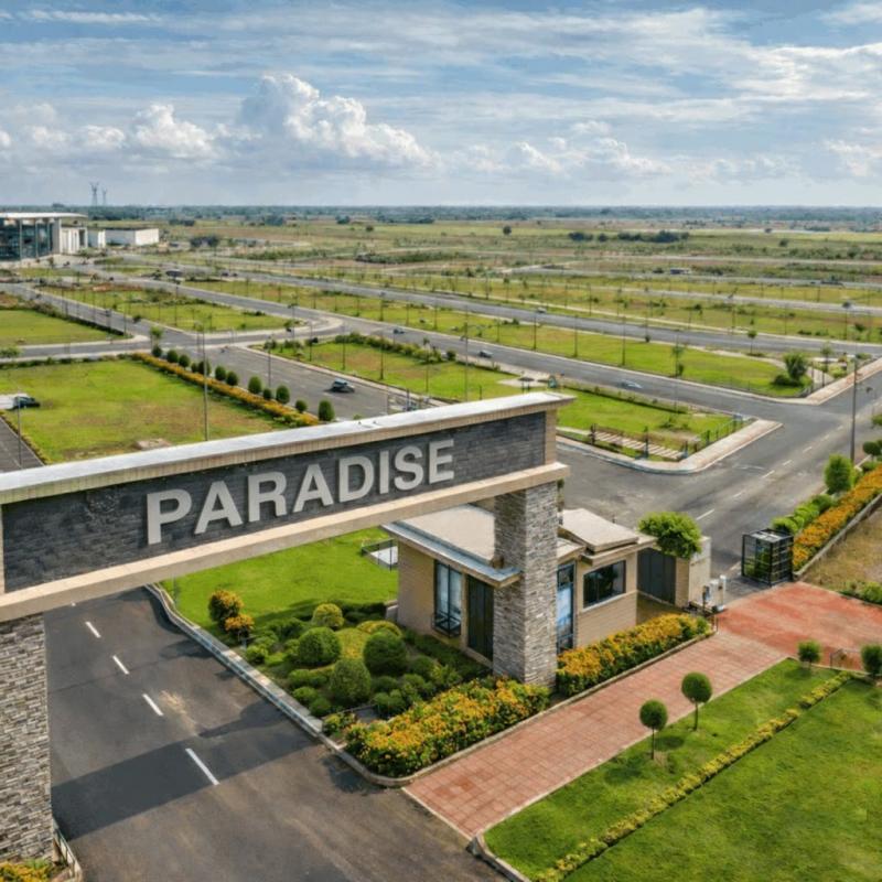 Paradise